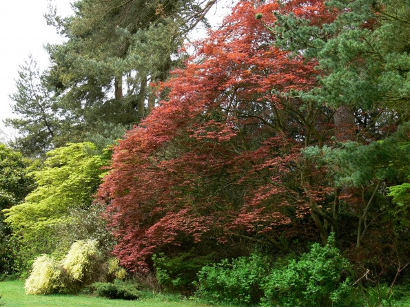 Bois des Moutiers (19) Mai 2012